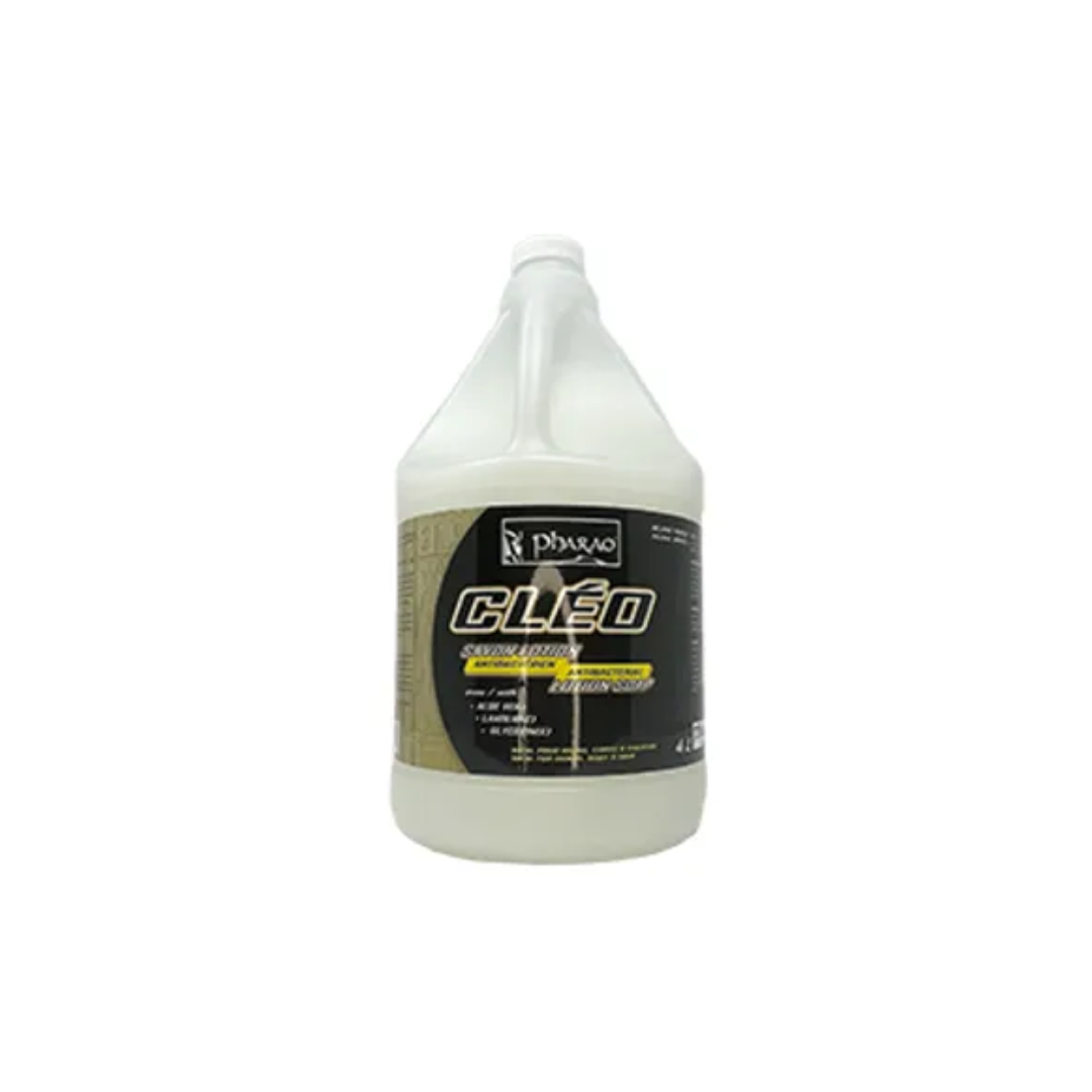 ANTIBACTERIAL HAND SOAP 4L