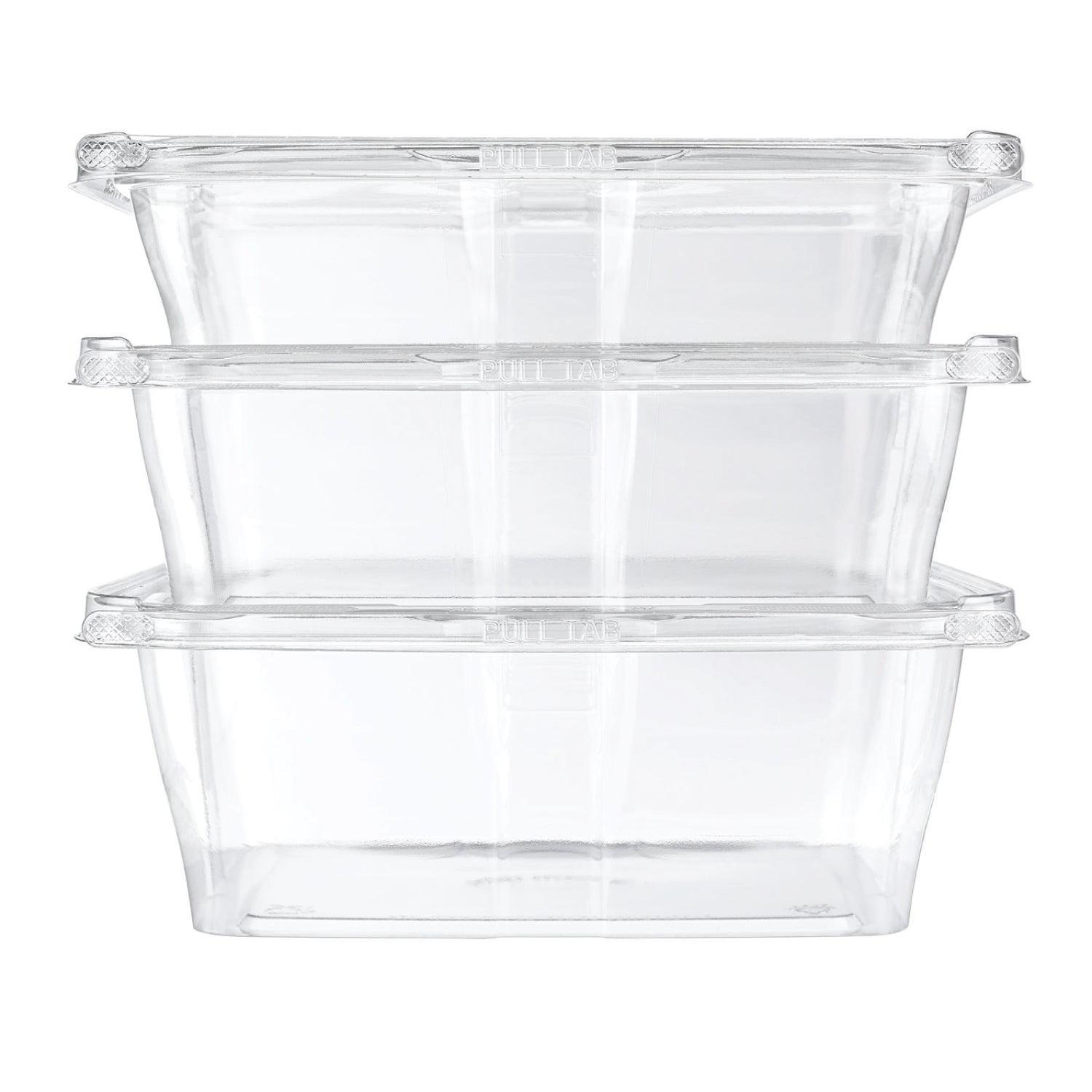 Clear Hinged Flat Lid Storage Container