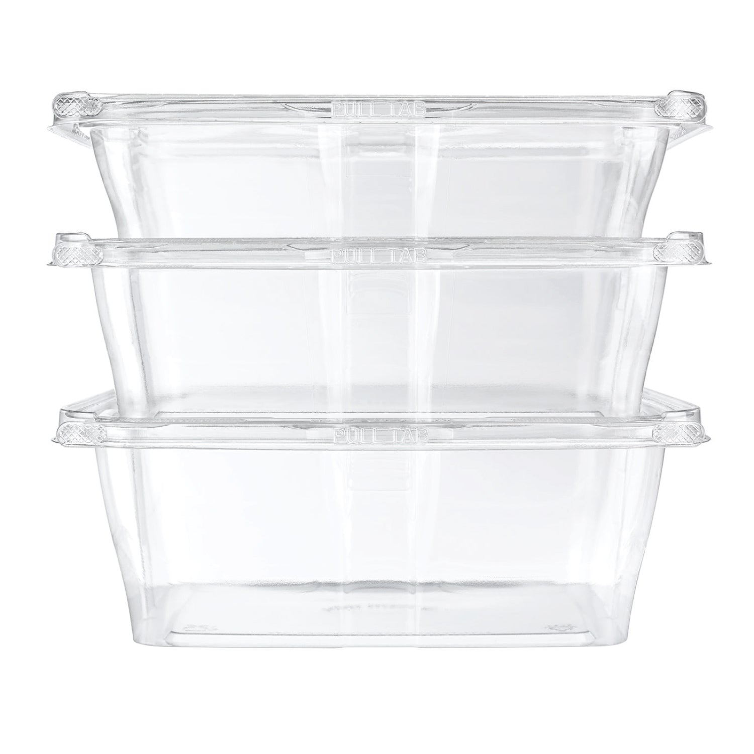 Flat Hinged Lid Clear Container