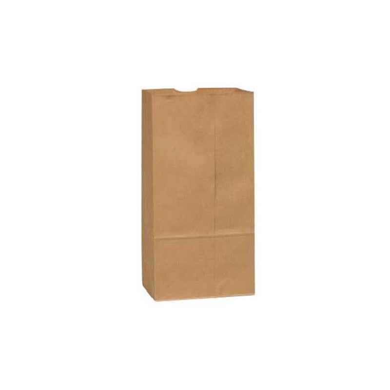 Kraft Paper Grocery Bag