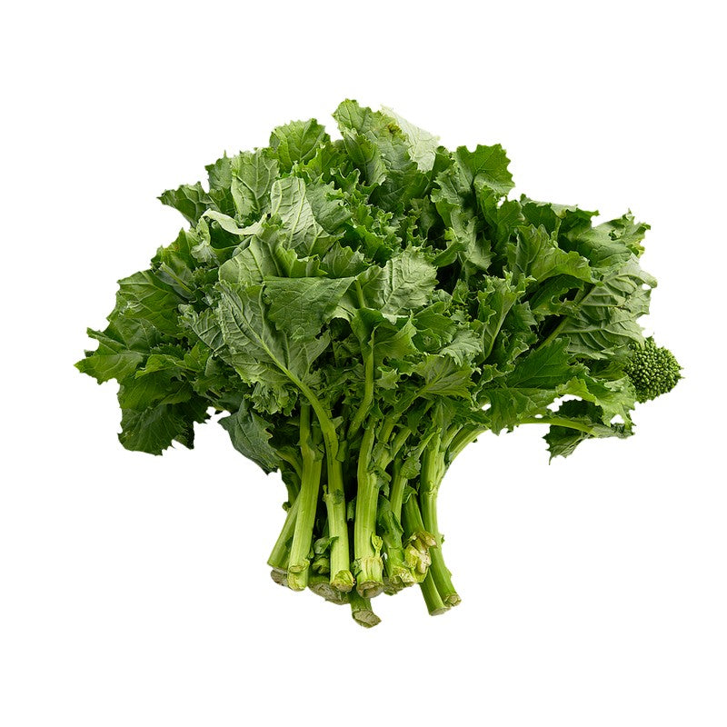 Rapini