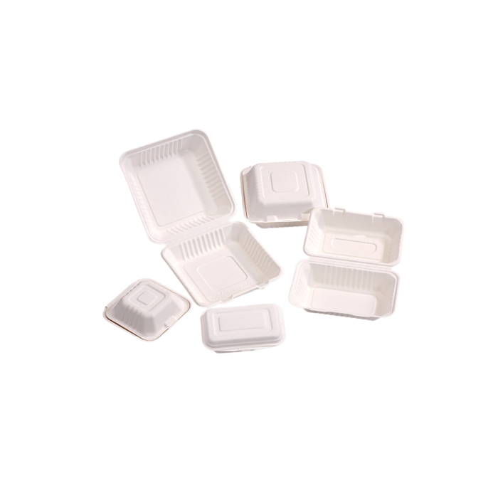 PPT Takeout Containers